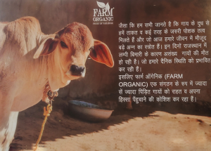 RK Group organic treatment for lumpy skin disease